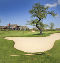 Golf voor mensen met een verstandelijk beperking groeit.